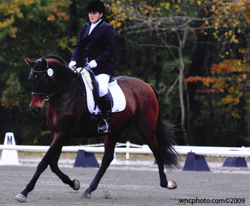 Angie on Wiesling - Hannoverian mare